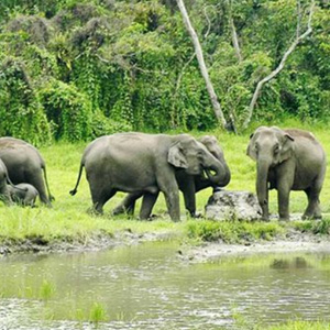 SUNDARBAN