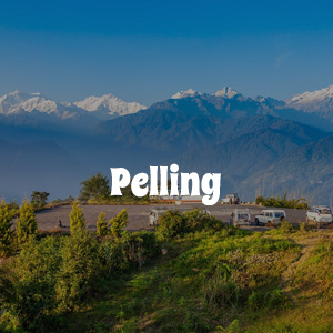 Pelling